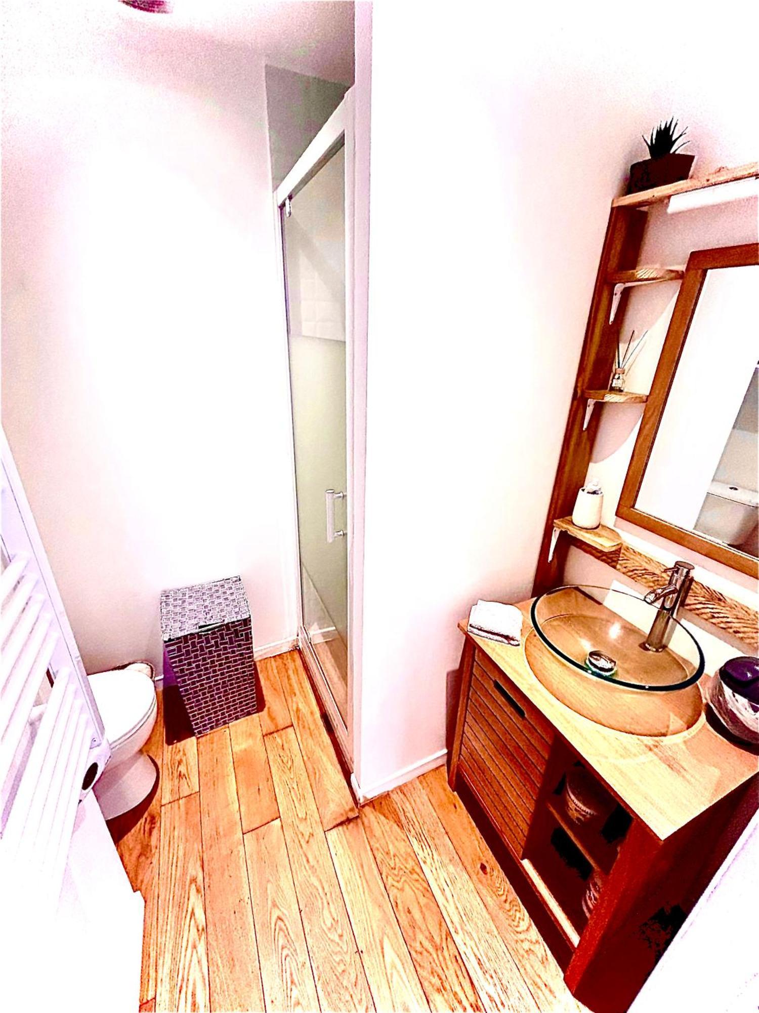 Le Patio Jacuzzi Centre Apartment Toulouse Ngoại thất bức ảnh